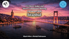 Lightbox Tasarımı