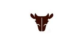 Deri Ürünleri Logo Tasarımı