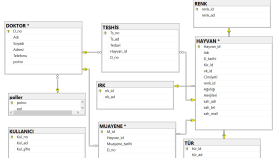 SQL VERİTABANI