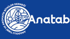 size ve işinize uygun sade ve şık bir logo tasarlayabilirim