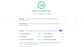 kozanteks.com Litespeed Optimizasyonu