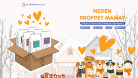 Petshop - Broşür