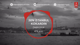 şık videolarla hizmetinizi etkileyici hale getirebilirim