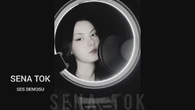Seslendirme