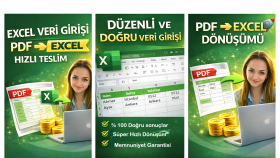 Excel veri girişi ve PDF’den Excel’e veri aktarımı yaparım