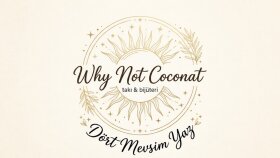Why Not Coconat: Yaratıcı Marka Sloganı