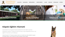 Bir Firma İçin Özel Cms Yazılımız