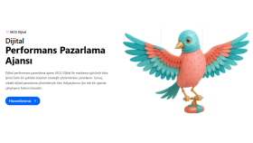 Profesyonel Web Tasarım ve Geliştirme