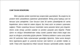 Araştırma Yazısı