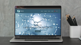 mobil uyumlu profesyonel web sitesi yapabilirim