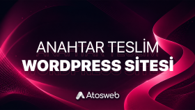 işletmeniz için profesyonel WordPress web sitesi kurarım