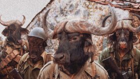 Buffalo Soldier