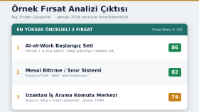Örnek Fırsat Analizi Çıktısı