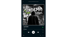 Tokdemir
