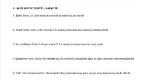 Seviye Tespit ve Kapasite Analizi