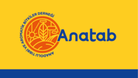 Paylaşabileceğim Kartvizitler Örneği