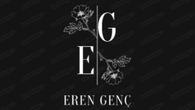 sizlere logo tasarlamak istiyorum