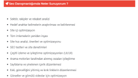 Seo Danışmanlığımda neler yapıyorum 