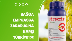 Sosyal Medya Tasarımları