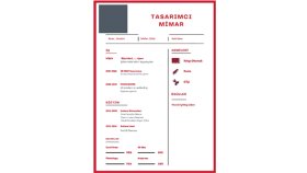 sizin için cv hazırlayabilirim
