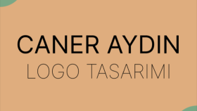 1 günde teslim logo yapabilirim