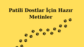 Petshop,Veteriner ve Evcil Hayvan İçin Sosyal Medya Metinler