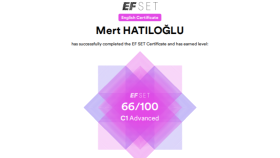 Freelance Mütercimlik