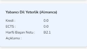 Her Türlü Almanca-Türkçe çeviri 