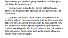 İş örneğim