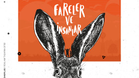 FARELER VE İNSANLAR KİTAP KAPAĞI TASARIMI