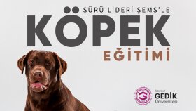 sosyal medya için reklam ve gönderilerinizi hazırlayabilirim