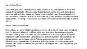 profesyonel metin düzenleme hizmeti sunuyorum