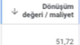 Google Shopping ve Search Reklamları