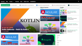 front-end ya da full-stack bir websitesi yazabilirim