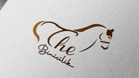 The Binicilik