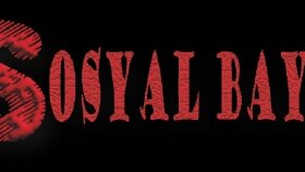 sosyalbayin.net logo çalışması