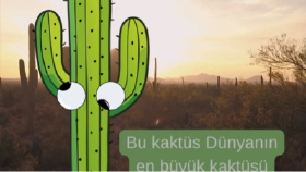 Böyle bir video istermisin