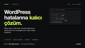 WordPress sitenizdeki tüm hataları hızlıca çözerim