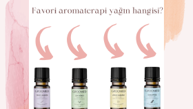 canva üzerinden afiş tasarımı yapabilirim