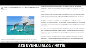 The Wonders of Dolphins