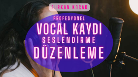 Ses kaydındaki gürültüyü temizleme