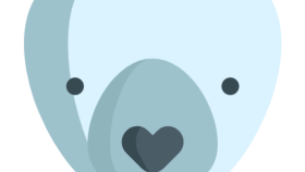 PracticoBear