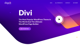 sitenize lisanslı Divi teması kurarım