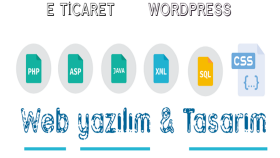 özel web sitelerinizi geliştirebilirim