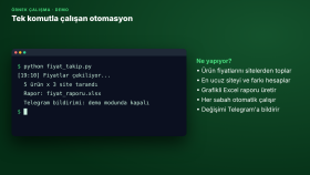 Tek Komutla Çalışan Python Otomasyonu (Demo)