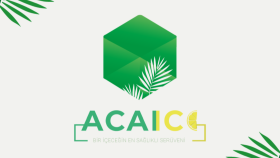 AcaiIce - Minimal Logo Tasarımı