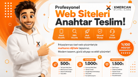 profesyonel web sitenizi anahtar teslim hazırlayabilirim