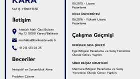 etkiliyeci ve profesyonel cv hazırlayabilirim