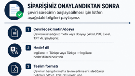 çeviri yapıyorum