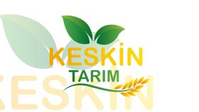Keskin Tarım logo çalışması